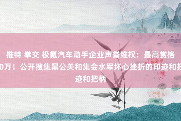 推特 拳交 极氪汽车动手企业声誉维权：最高赏格500万！公开搜集黑公关和集会水军坏心挫折的印迹和把柄