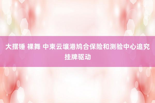大摆锤 裸舞 中柬云壤港鸠合保险和测验中心追究挂牌驱动