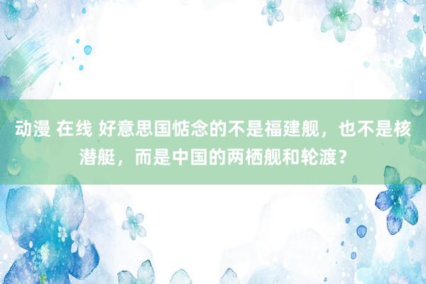 动漫 在线 好意思国惦念的不是福建舰，也不是核潜艇，而是中国的两栖舰和轮渡？