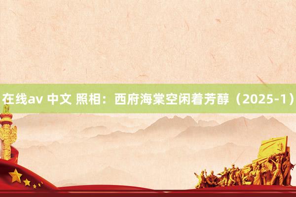 在线av 中文 照相：西府海棠空闲着芳醇（2025-1）