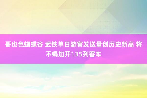 哥也色蝴蝶谷 武铁单日游客发送量创历史新高 将不竭加开135列客车