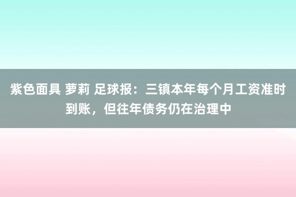 紫色面具 萝莉 足球报：三镇本年每个月工资准时到账，但往年债务仍在治理中