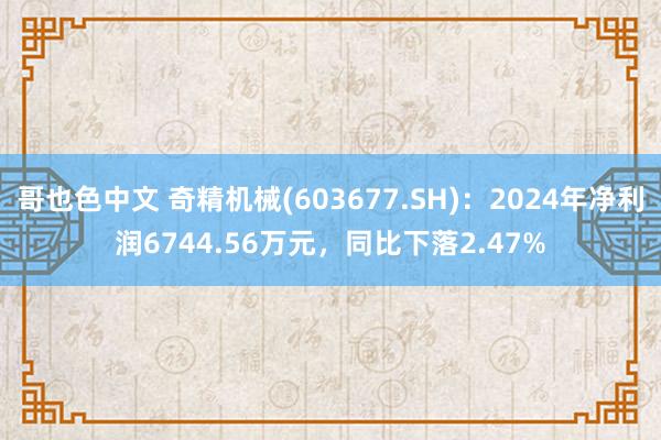 哥也色中文 奇精机械(603677.SH)：2024年净利润6744.56万元，同比下落2.47%