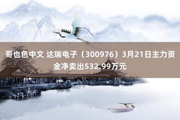哥也色中文 达瑞电子（300976）3月21日主力资金净卖出532.99万元