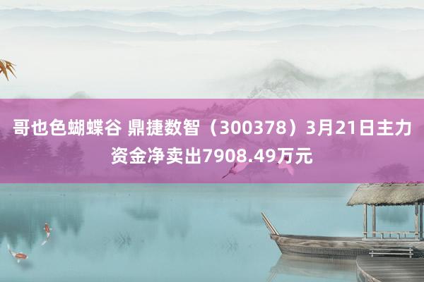 哥也色蝴蝶谷 鼎捷数智（300378）3月21日主力资金净卖出7908.49万元