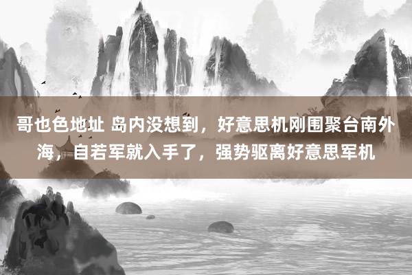 哥也色地址 岛内没想到，好意思机刚围聚台南外海，自若军就入手了，强势驱离好意思军机
