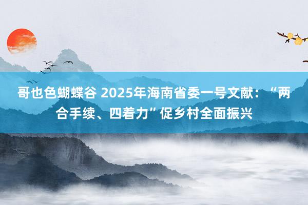 哥也色蝴蝶谷 2025年海南省委一号文献：“两合手续、四着力”促乡村全面振兴