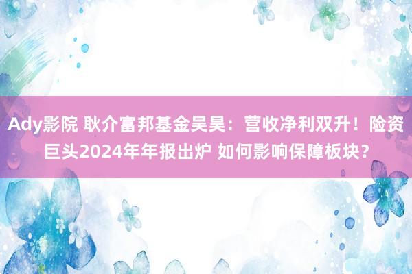 Ady影院 耿介富邦基金吴昊：营收净利双升！险资巨头2024年年报出炉 如何影响保障板块？