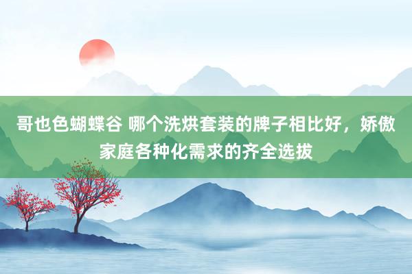 哥也色蝴蝶谷 哪个洗烘套装的牌子相比好，娇傲家庭各种化需求的齐全选拔