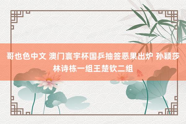 哥也色中文 澳门寰宇杯国乒抽签恶果出炉 孙颖莎林诗栋一组王楚钦二组
