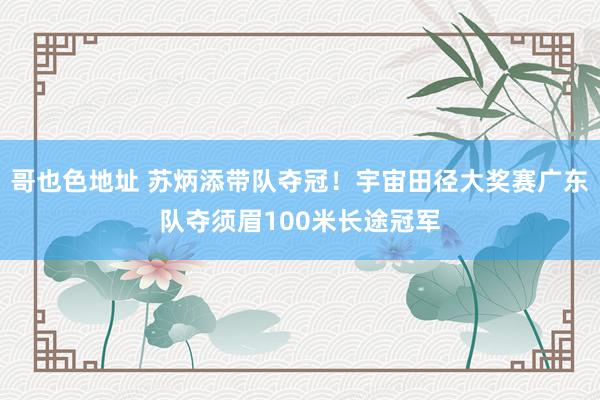 哥也色地址 苏炳添带队夺冠！宇宙田径大奖赛广东队夺须眉100米长途冠军