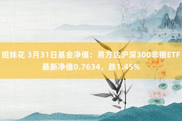 姐妹花 3月31日基金净值：易方达沪深300非银ETF最新净值0.7634，跌1.45%