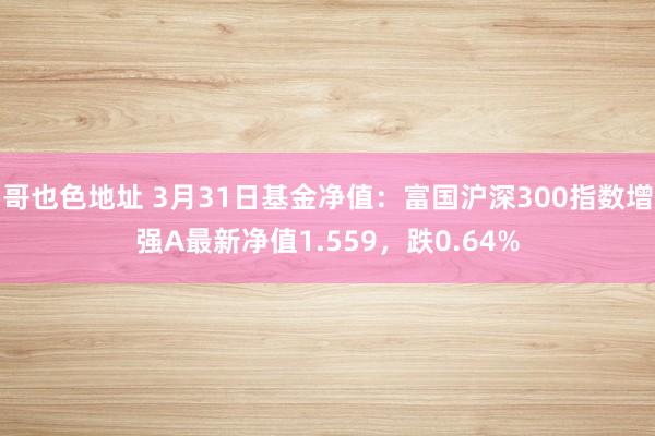 哥也色地址 3月31日基金净值：富国沪深300指数增强A最新净值1.559，跌0.64%