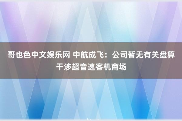 哥也色中文娱乐网 中航成飞：公司暂无有关盘算干涉超音速客机商场