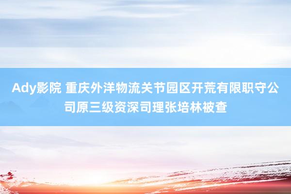Ady影院 重庆外洋物流关节园区开荒有限职守公司原三级资深司理张培林被查