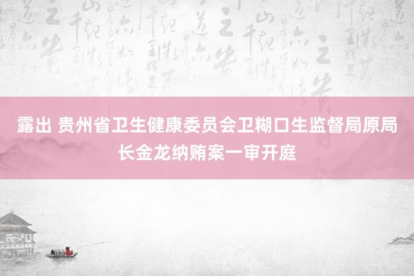 露出 贵州省卫生健康委员会卫糊口生监督局原局长金龙纳贿案一审开庭