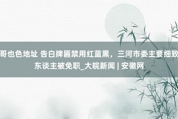 哥也色地址 告白牌匾禁用红蓝黑，三河市委主要细致东谈主被免职_大皖新闻 | 安徽网