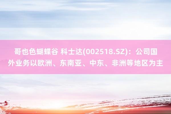 哥也色蝴蝶谷 科士达(002518.SZ)：公司国外业务以欧洲、东南亚、中东、非洲等地区为主