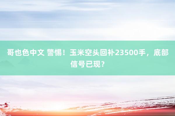 哥也色中文 警惕！玉米空头回补23500手，底部信号已现？
