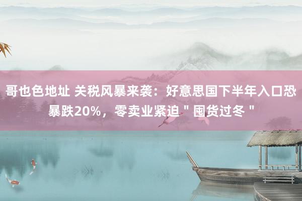 哥也色地址 关税风暴来袭：好意思国下半年入口恐暴跌20%，零卖业紧迫＂囤货过冬＂
