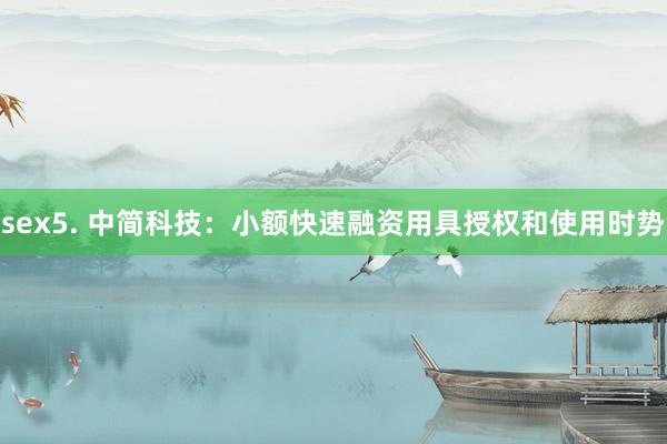 sex5. 中简科技：小额快速融资用具授权和使用时势