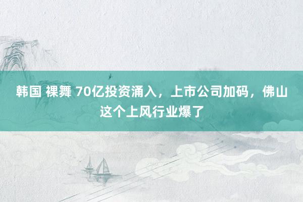韩国 裸舞 70亿投资涌入，上市公司加码，佛山这个上风行业爆了