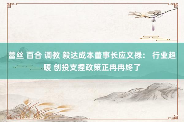 蕾丝 百合 调教 毅达成本董事长应文禄： 行业趋暖 创投支捏政策正冉冉终了