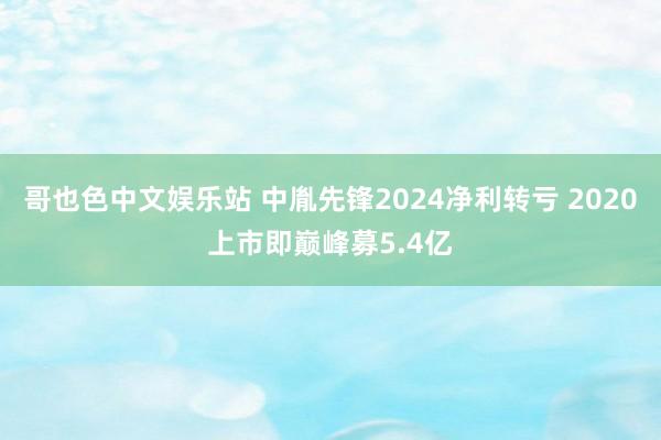 哥也色中文娱乐站 中胤先锋2024净利转亏 2020上市即巅峰募5.4亿