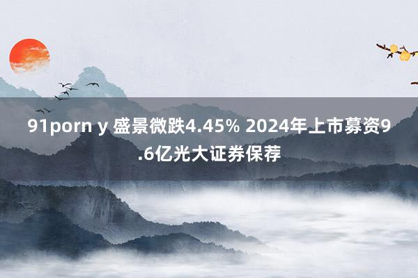 91porn y 盛景微跌4.45% 2024年上市募资9.6亿光大证券保荐