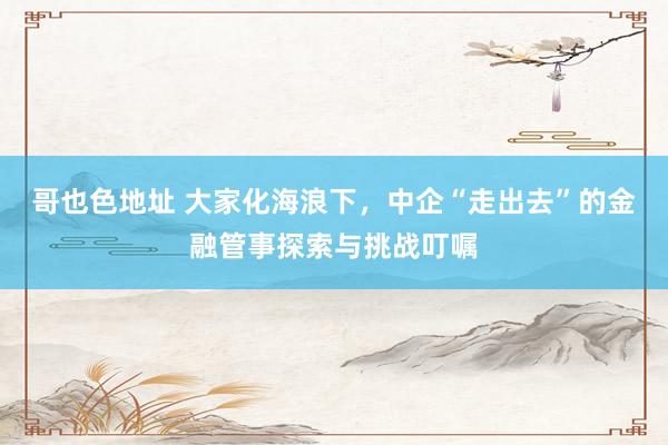 哥也色地址 大家化海浪下，中企“走出去”的金融管事探索与挑战叮嘱