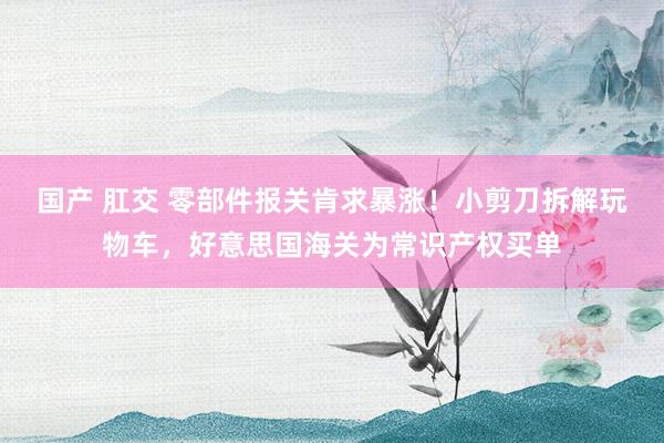 国产 肛交 零部件报关肯求暴涨！小剪刀拆解玩物车，好意思国海关为常识产权买单