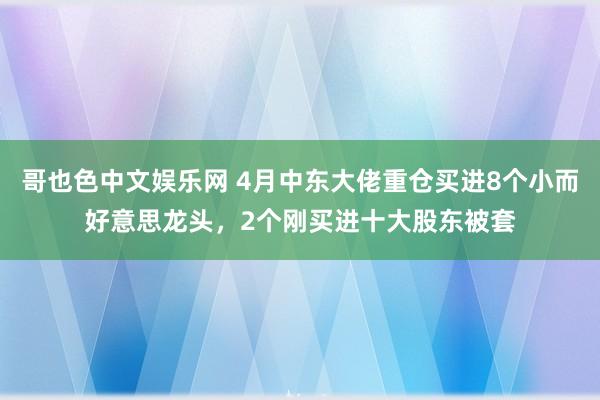 哥也色中文娱乐网 4月中东大佬重仓买进8个小而好意思龙头，2个刚买进十大股东被套