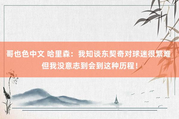 哥也色中文 哈里森：我知谈东契奇对球迷很繁难 但我没意志到会到这种历程！