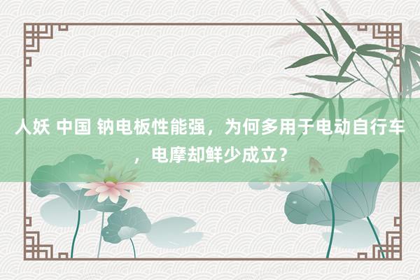 人妖 中国 钠电板性能强，为何多用于电动自行车，电摩却鲜少成立？